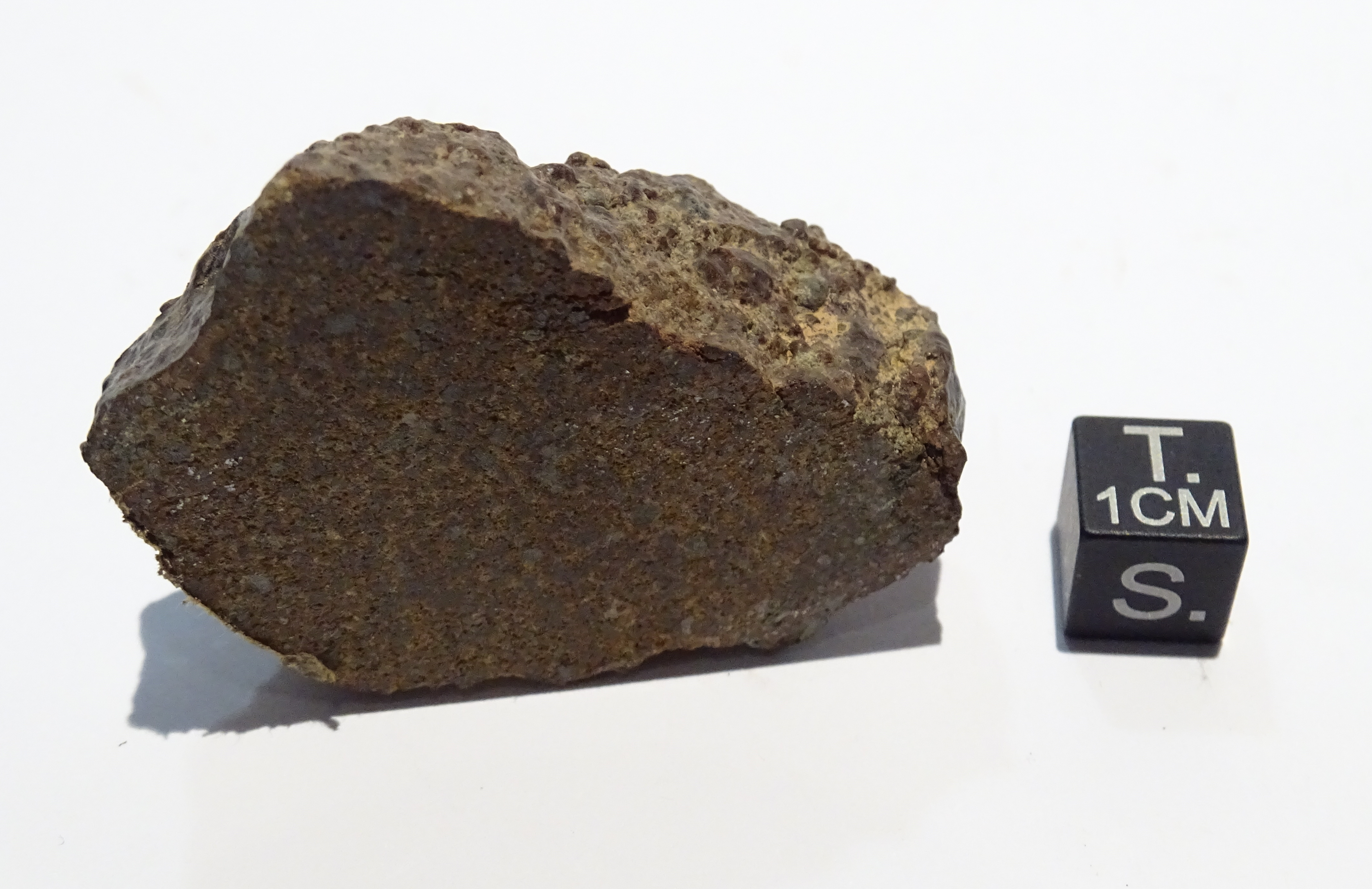 Meteorite/ Condrite ordinaria/ Dar al Gani 689 (esemplare)