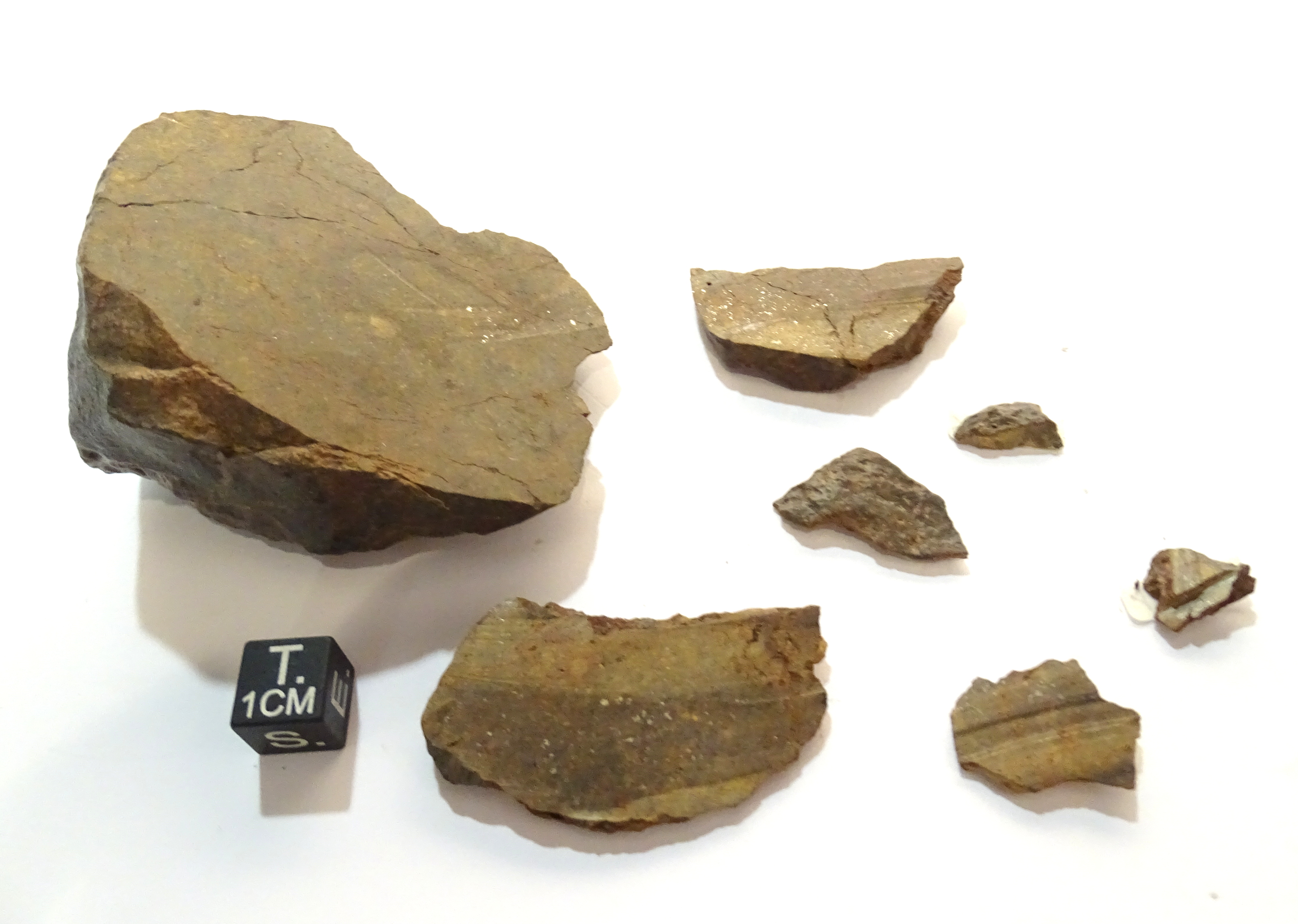 Meteorite/ Condrite ordinaria/ Dar al Gani 683 (esemplare)