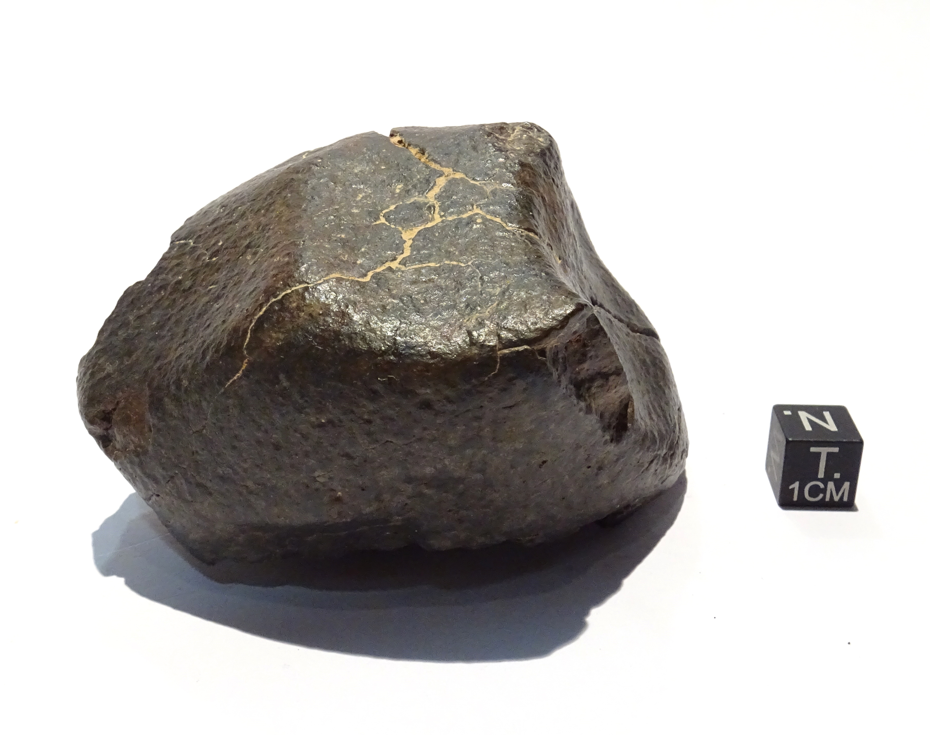 Meteorite/ Condrite ordinaria/ Dar al Gani 1002 (esemplare)