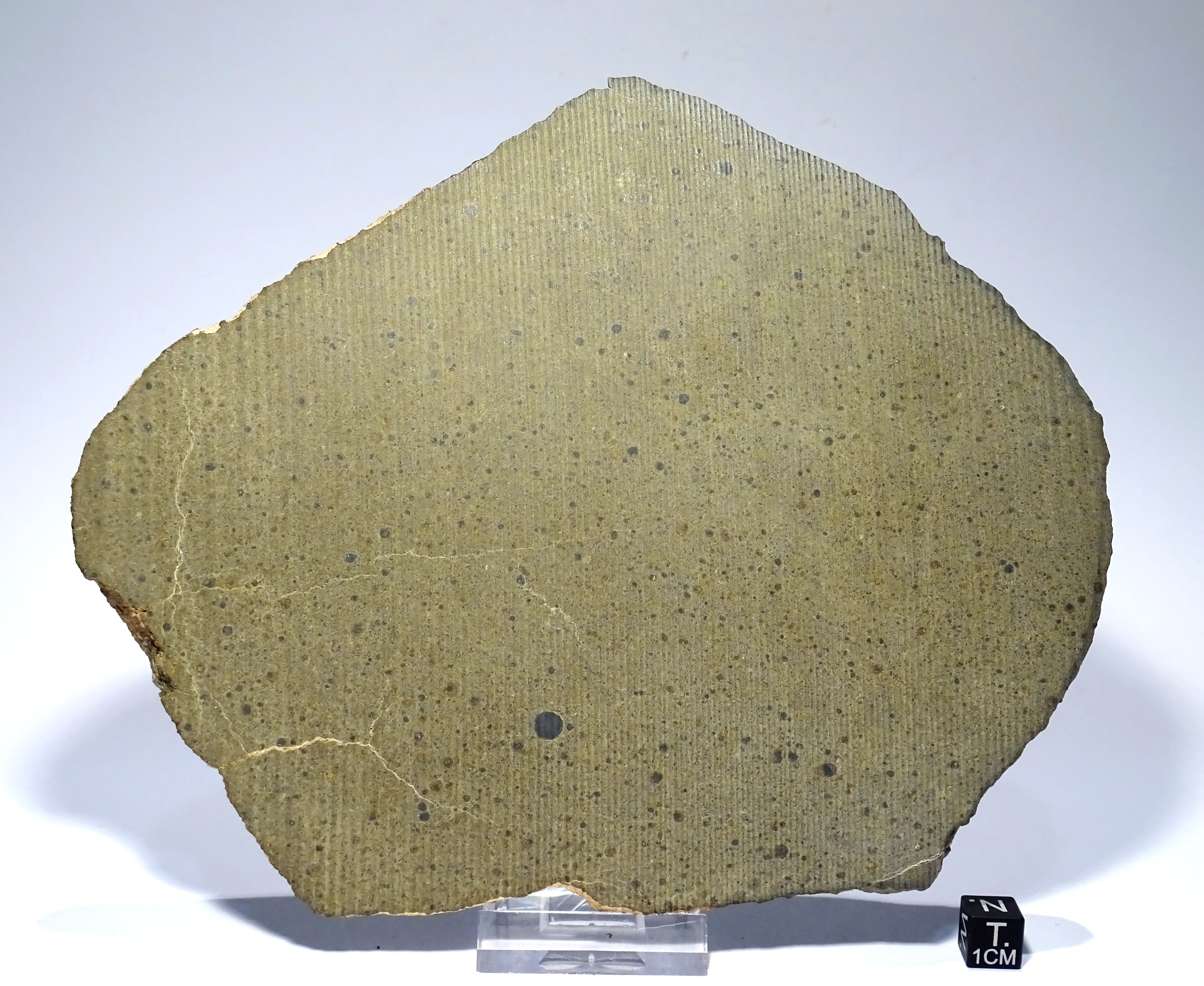 Meteorite/ Condrite carbonacea/ Northwest Africa 5515 (esemplare)