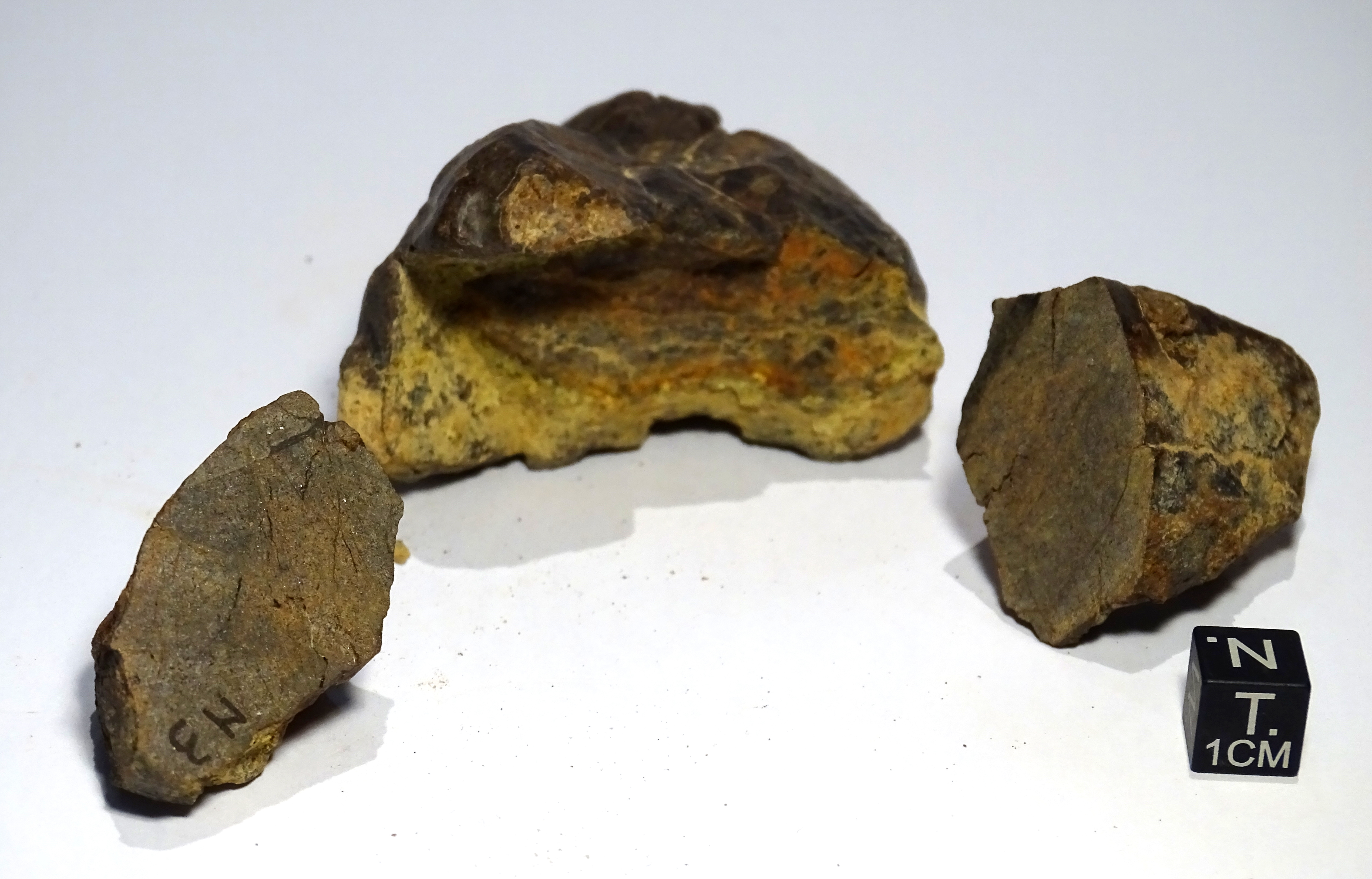 Meteorite/ Condrite ordinaria/ Dar al Gani 1003 (esemplare)