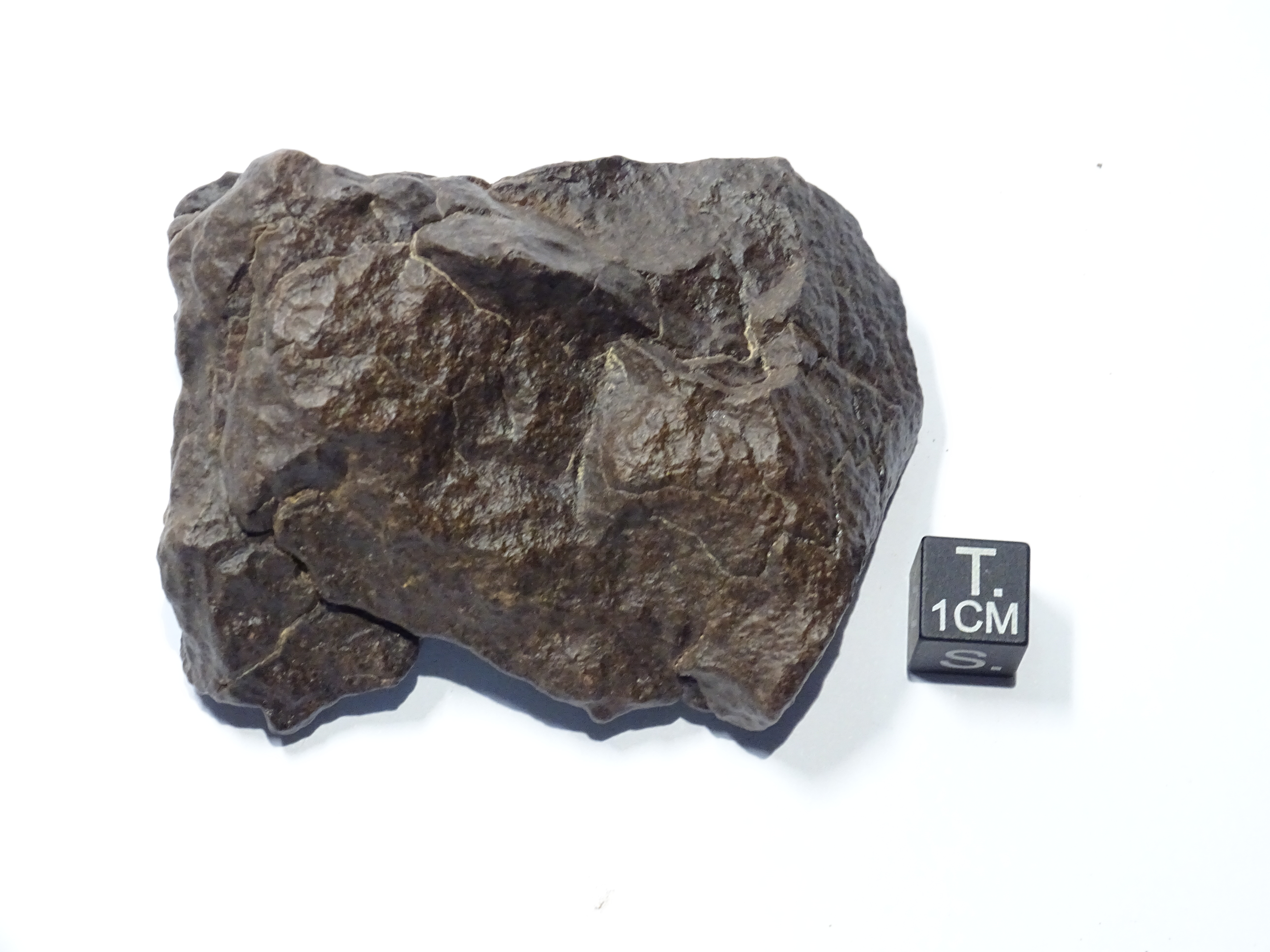 Meteorite/ Condrite ordinaria/ Hammadah al Hamra 322 (esemplare)