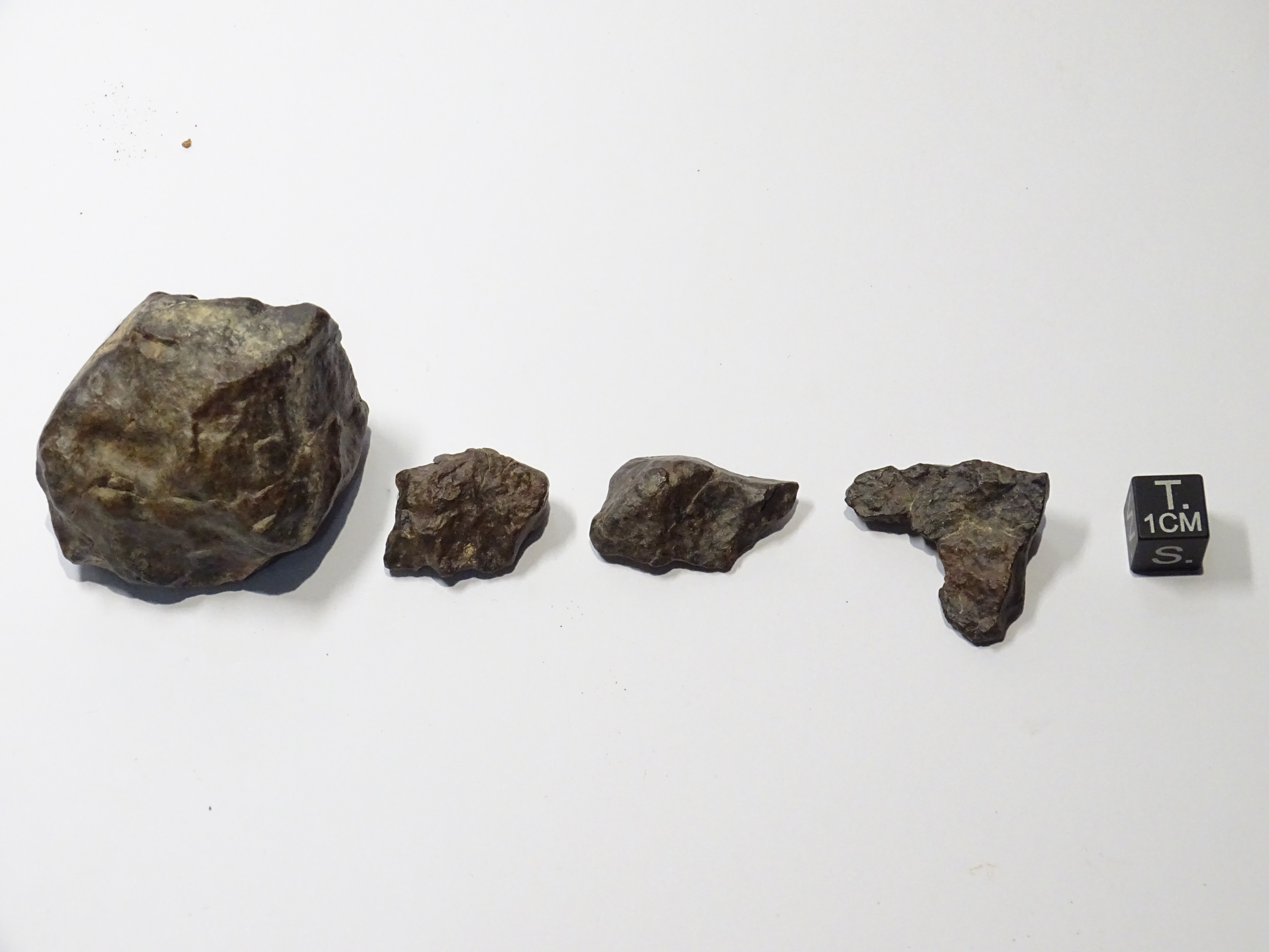 Meteorite/ Condrite ordinaria/ Acfer 387 (esemplare)