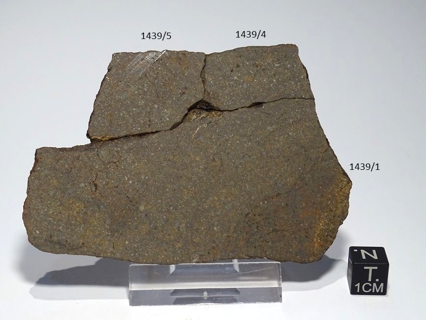Meteorite/ Condrite ordinaria/Dar al Gani 688 (esemplare)