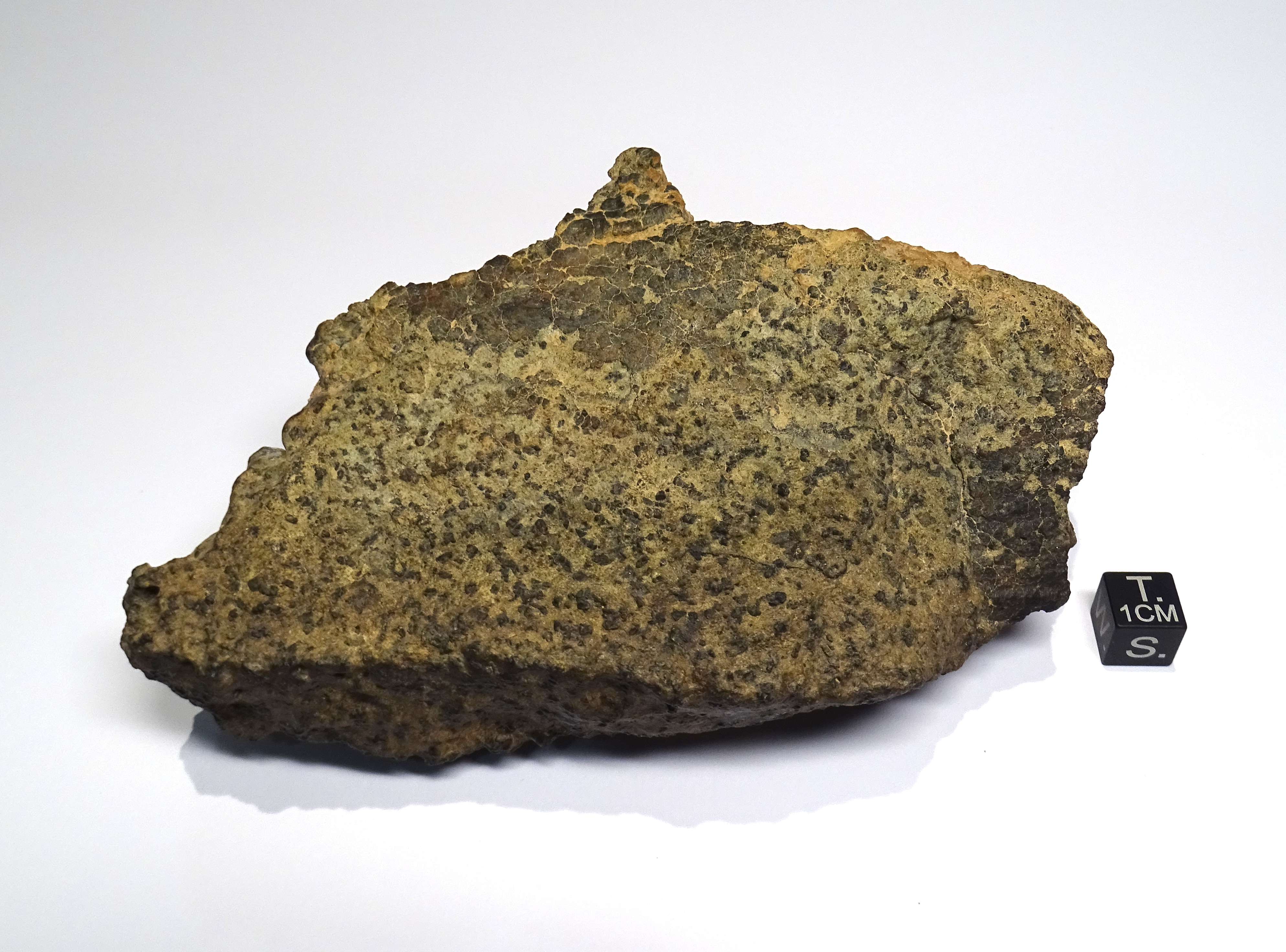 Meteorite/ Meteorite marziana/Dar al Gani 670 (esemplare)