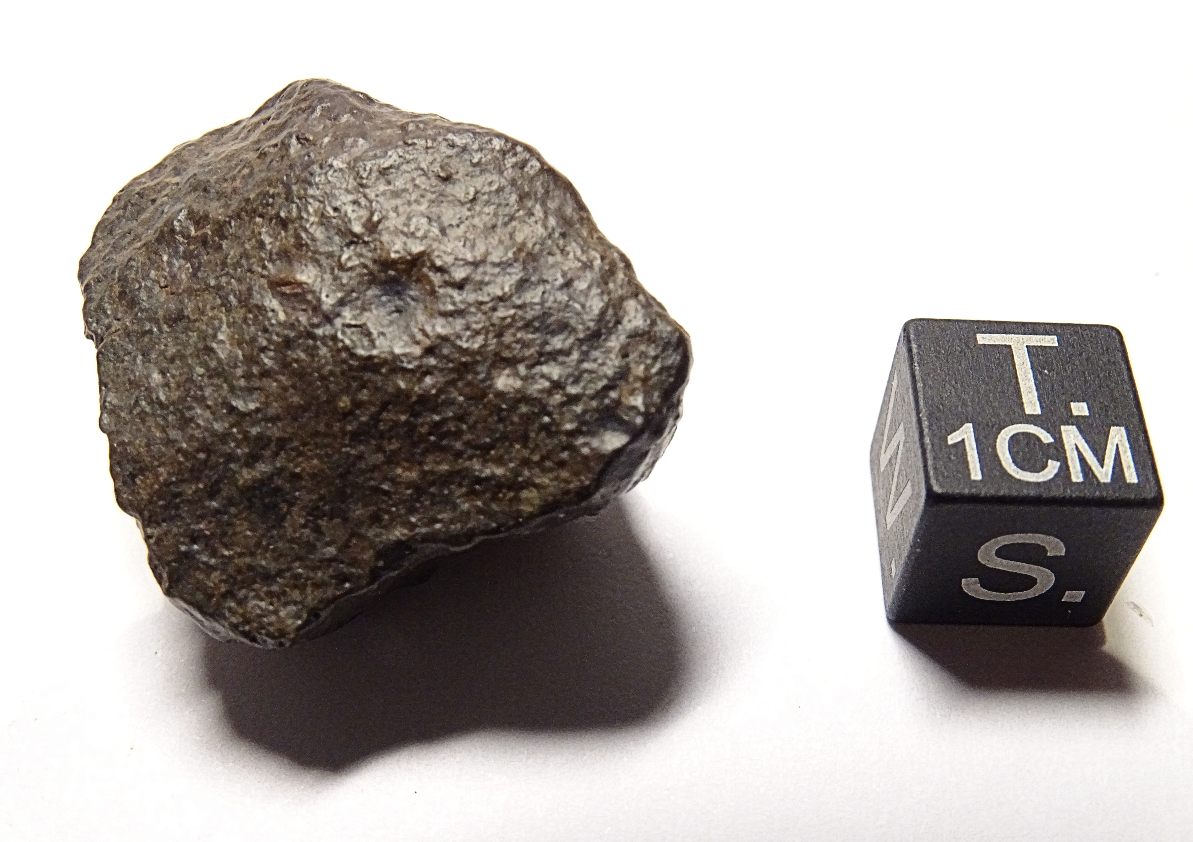 Meteorite/ Condrite ordinaria/ Hammadah al Hamra 318 (esemplare)