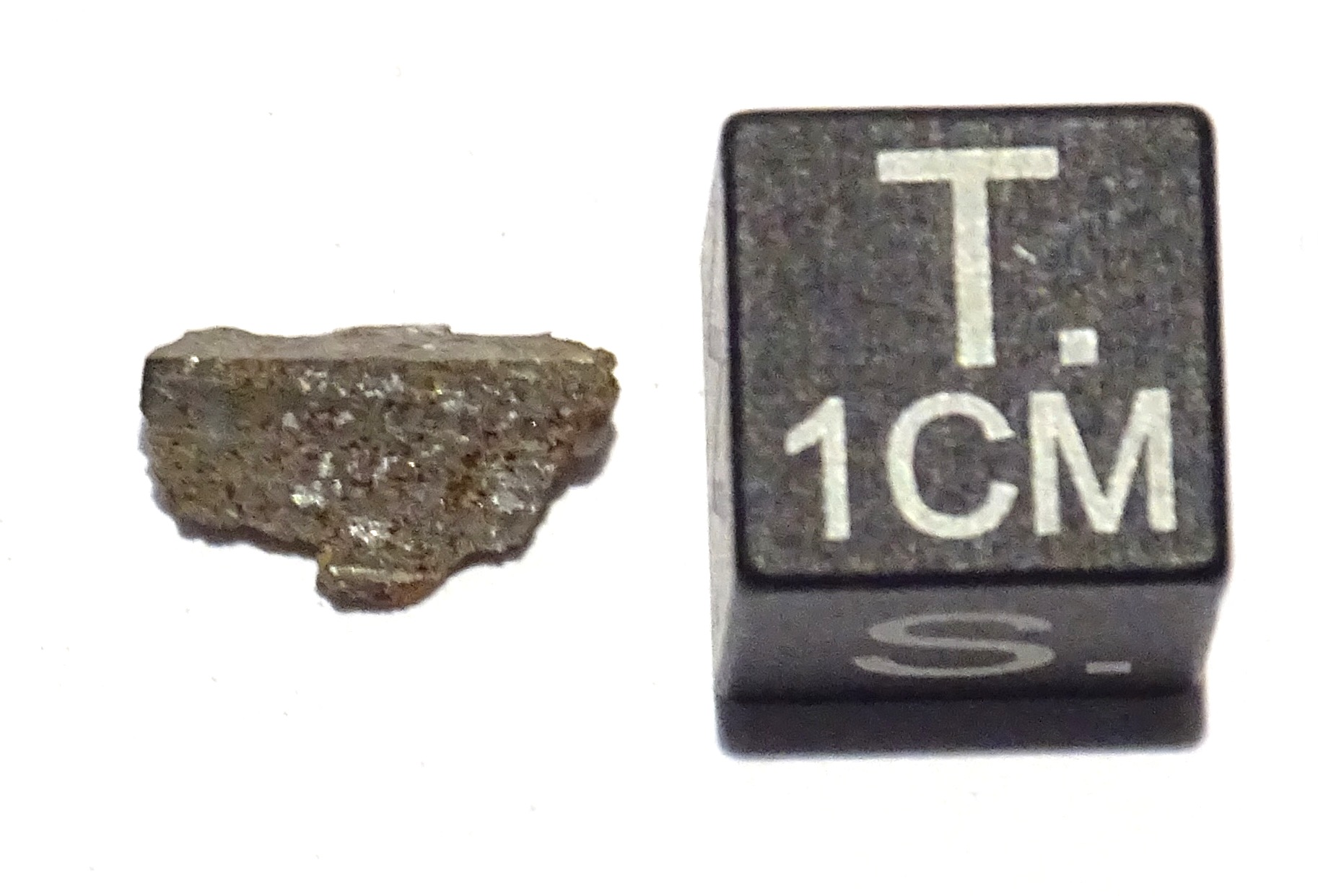Meteorite/ Acapulcoite/ Northwest Africa 1052 (esemplare)