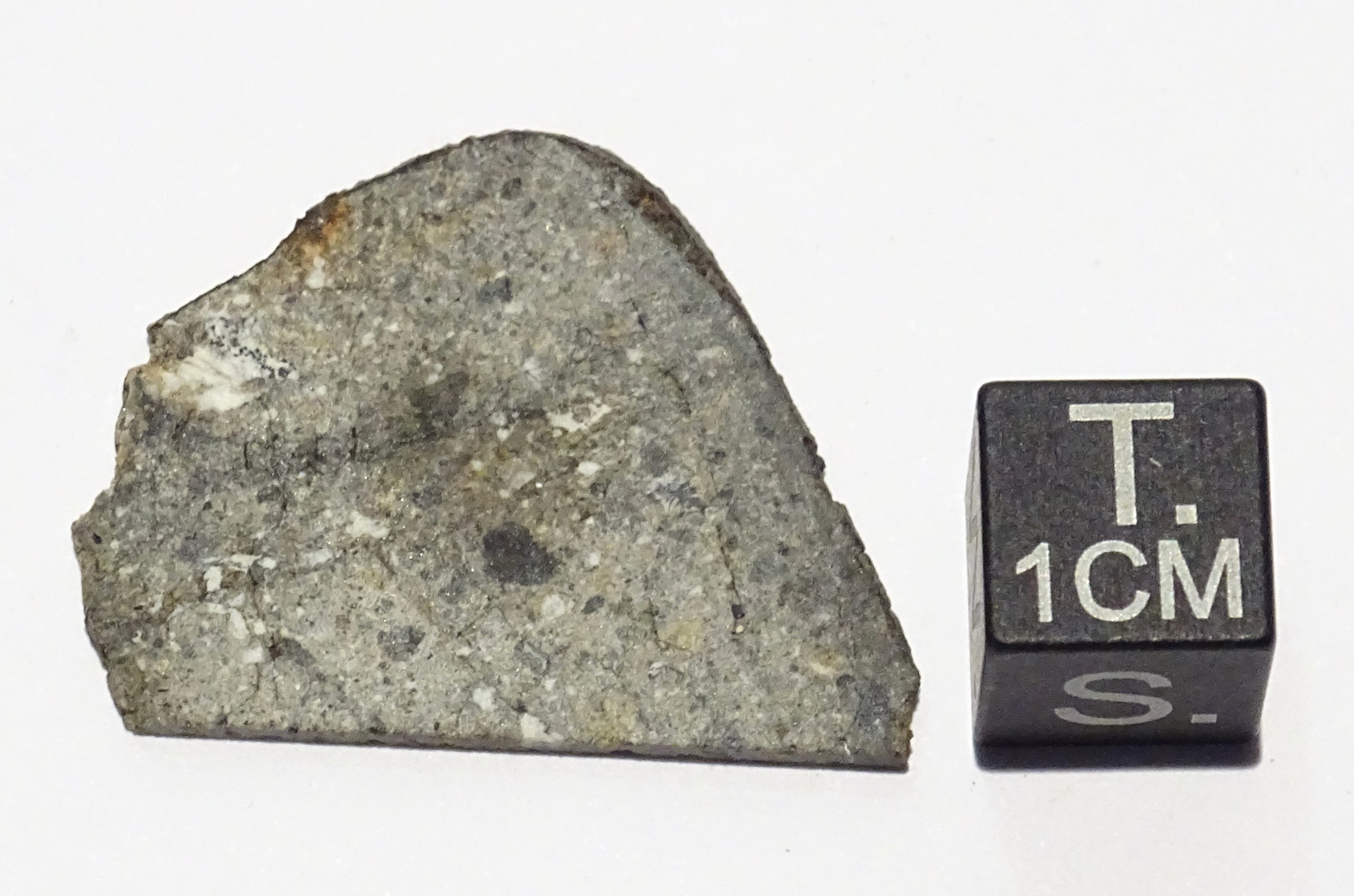 Meteorite/ Howardite/ Dhofar 485 (esemplare)