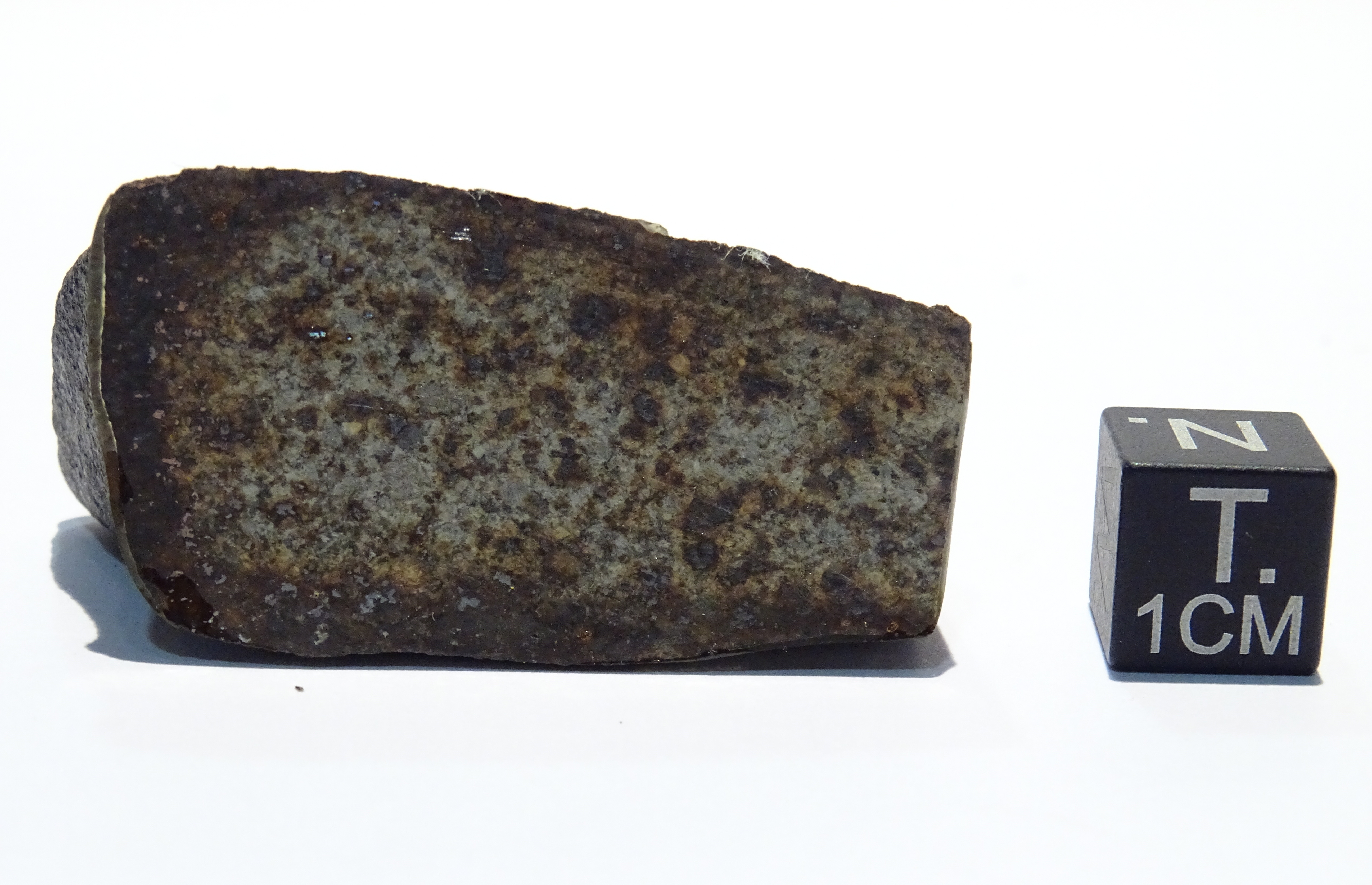 Meteorite/ Condrite ordinaria/ Northwest Africa 1700 (esemplare)