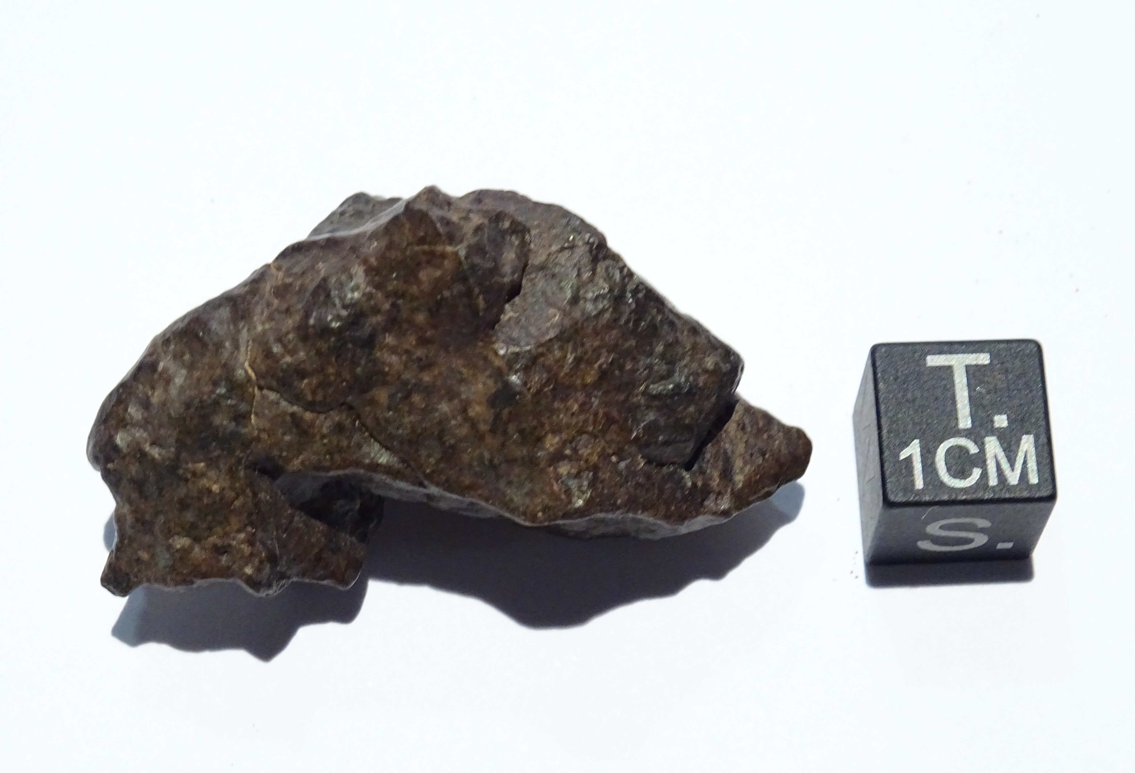 Meteorite/ Condrite ordinaria/ Dar al Gani 1059 (esemplare)
