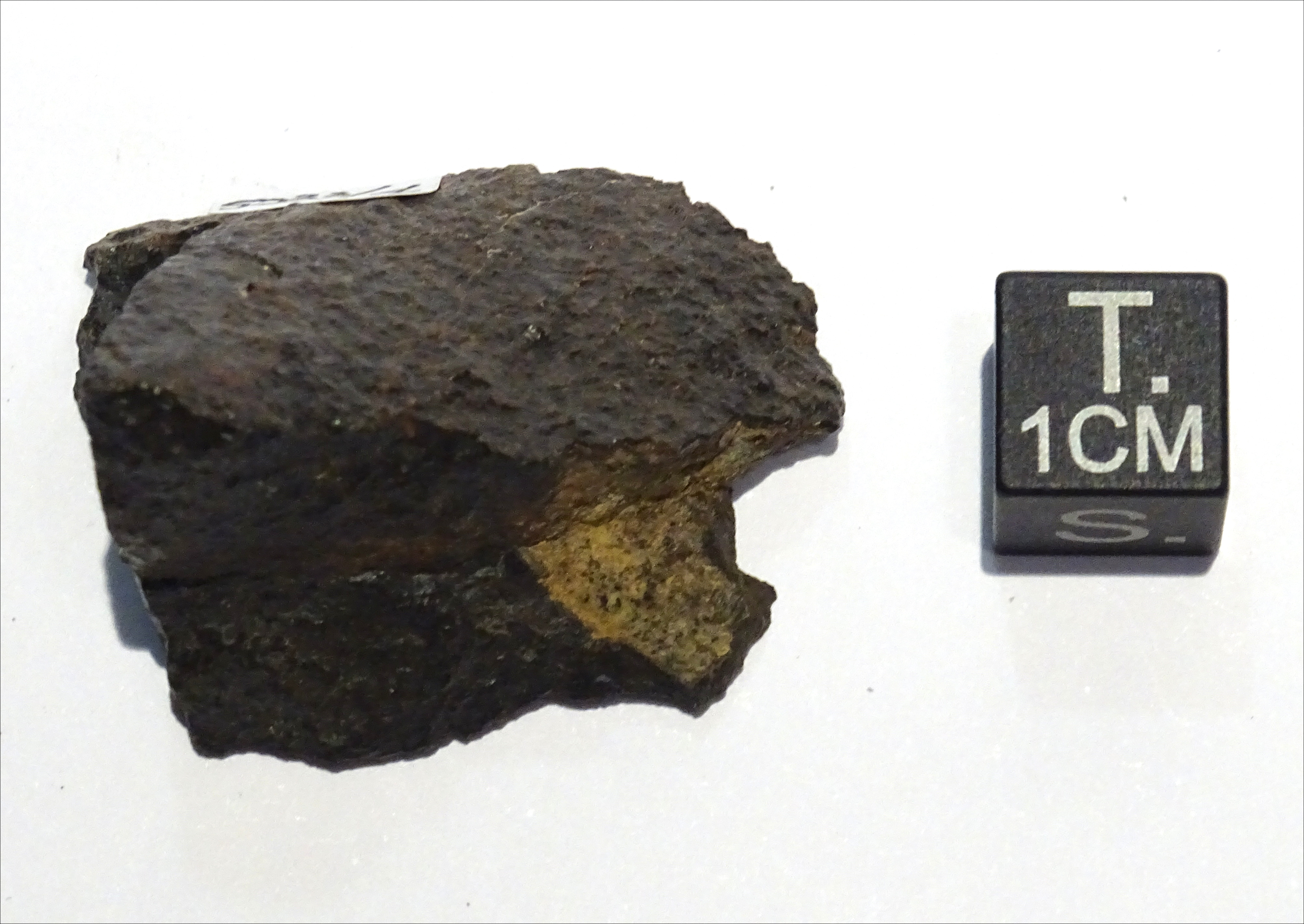 Meteorite/ Condrite ordinaria/ Northwest Africa 2806 (esemplare)