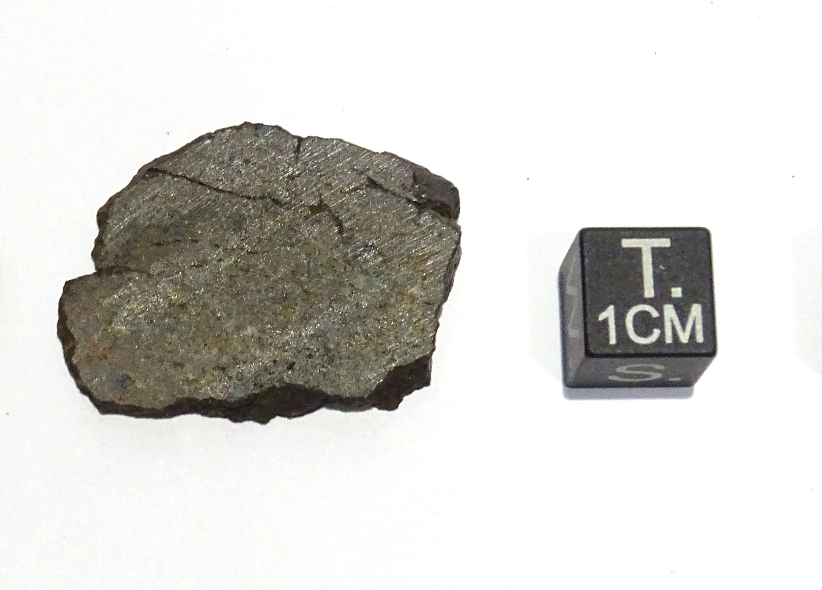 Meteorite/ Condrite ordinaria/ Northwest Africa 2806 (esemplare)