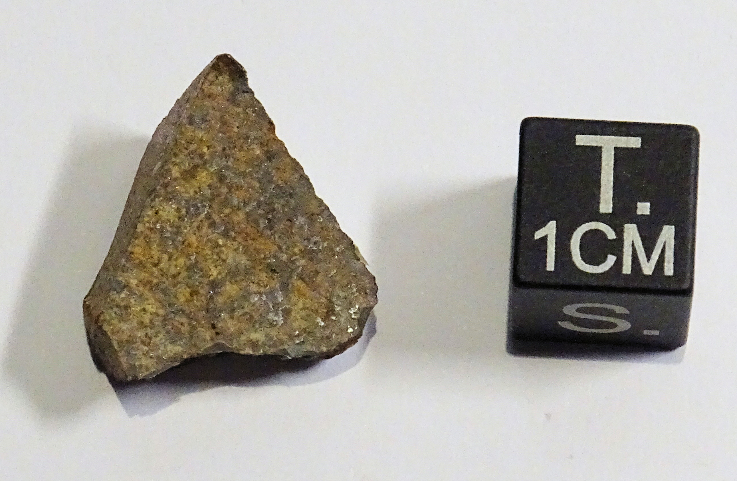 Meteorite/ Condrite ordinaria/ Northwest Africa 1057 (esemplare)