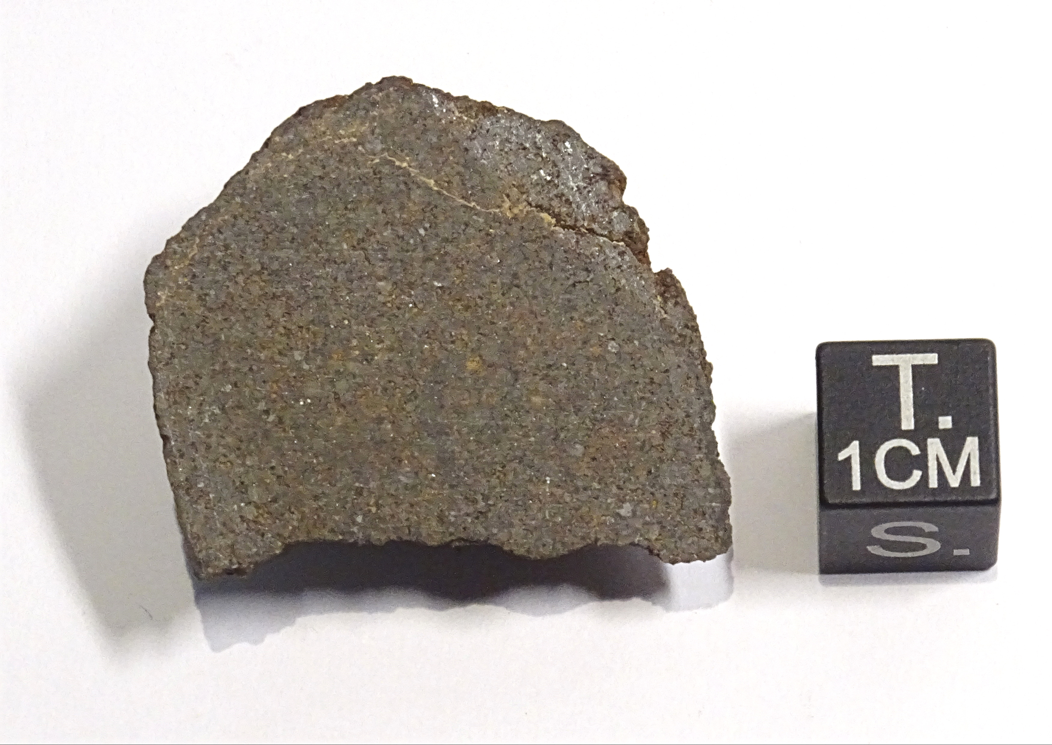 Meteorite/ Condrite ordinaria/ Northwest Africa 4428 (esemplare)