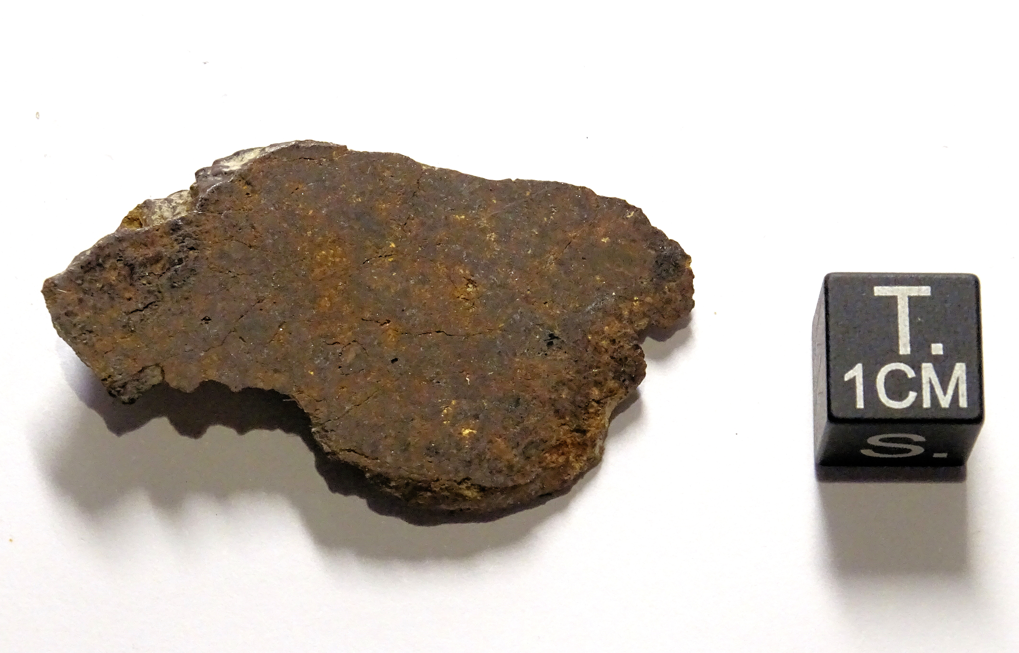 Meteorite/ Condrite ordinaria/ Northwest Africa 6547 (esemplare)