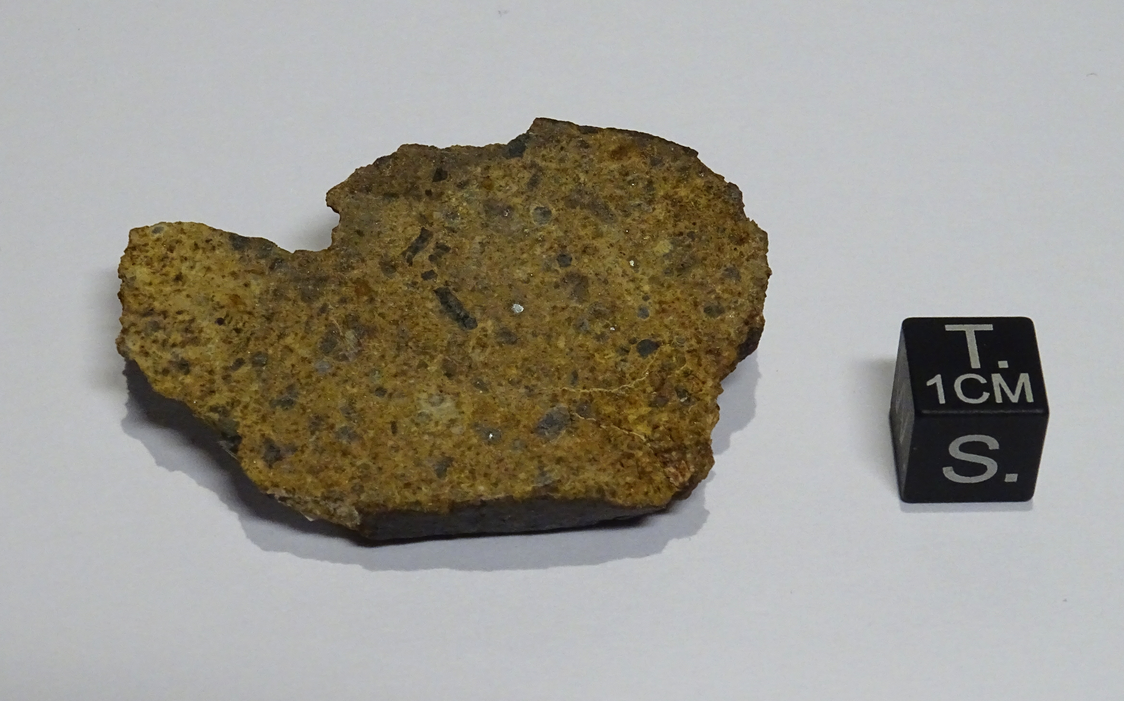 Meteorite/ Condrite ordinaria/ Northwest Africa 7446 (esemplare)