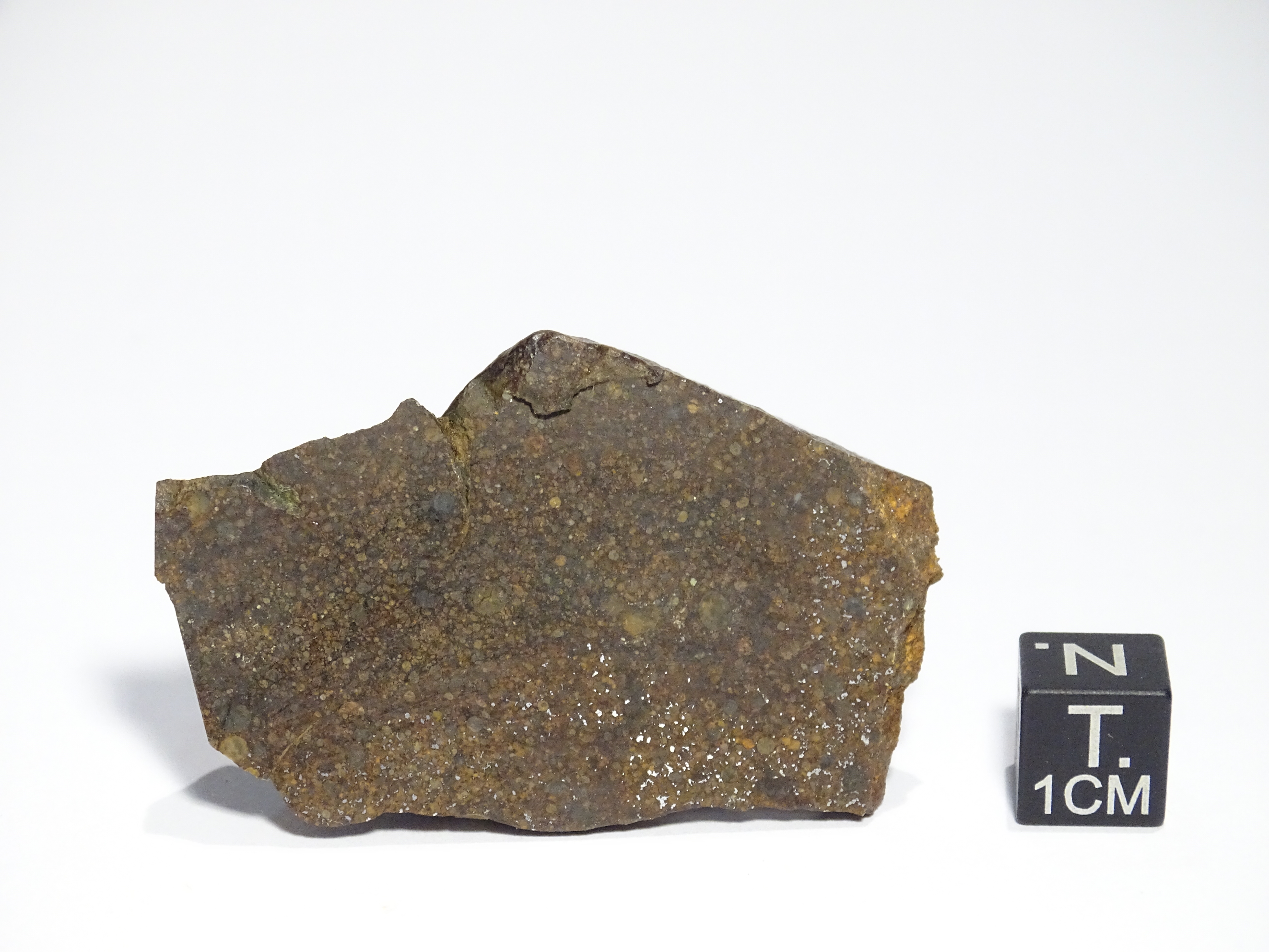 Meteorite/ Condrite non raggruppata/ Acfer 370 (esemplare)