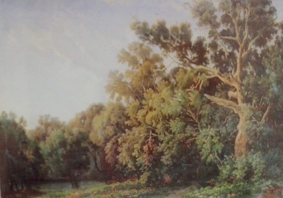 Bosco (dipinto) di Edmund Hottenroth (XIX)