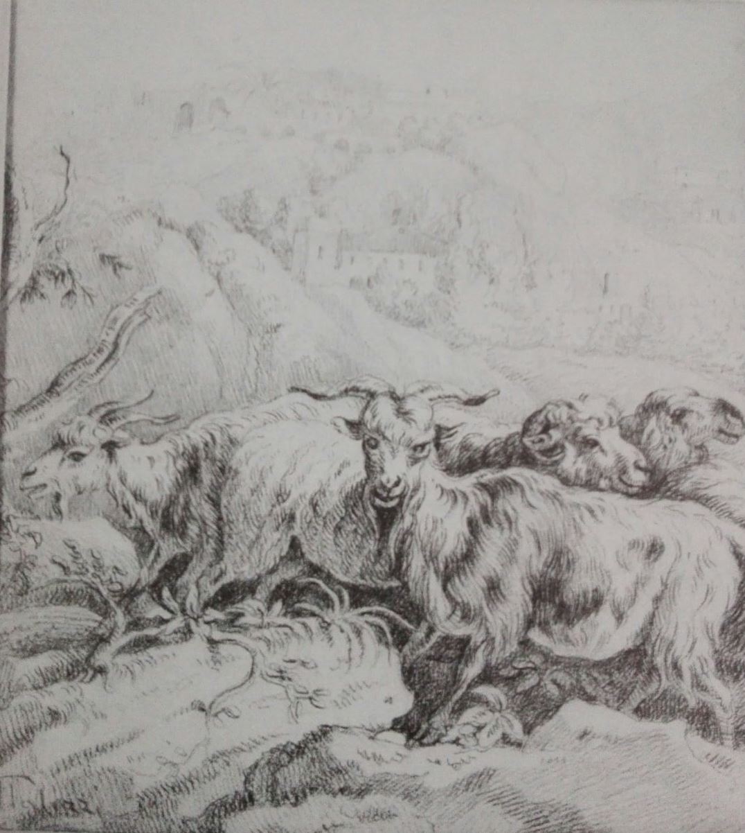Capre e pecore (disegno) di Palizzi Giuseppe (XIX)