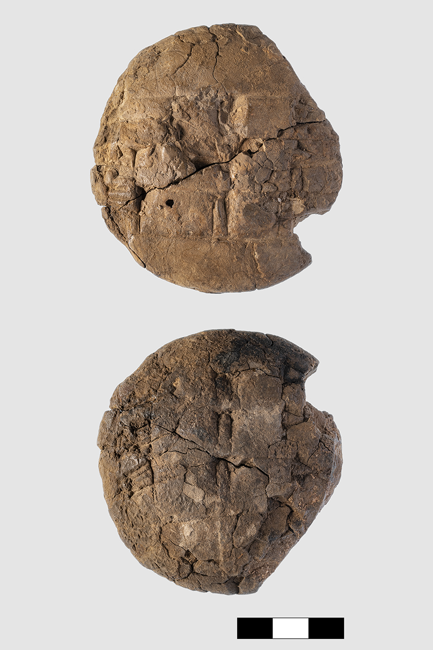 tavoletta (MILLENNI/ II millennio a.C)