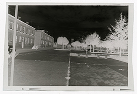 Mungivacca (Bari) - Veduta del quartiere (negativo) di Ficarelli fotostampa studio fotografico (XX)