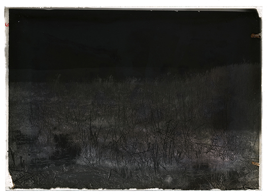 Foggia - Panorama presso il fiume Candelaro (negativo) di Anonimo (XX)