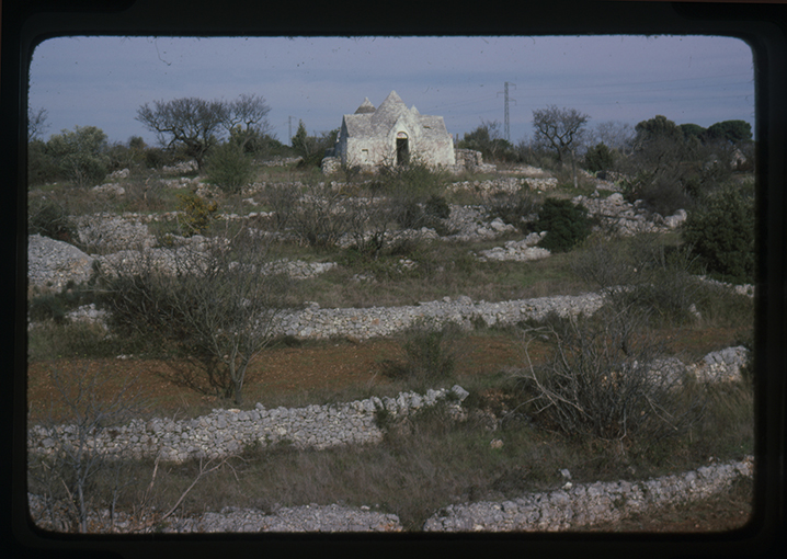 Putignano - paesaggio (diapositiva) di anonimo (XX)