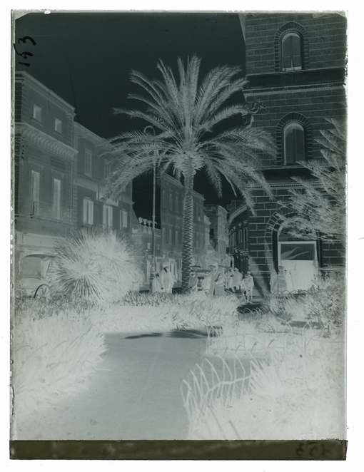 Lecce - Il giardino in Piazza Vittorio Emanuele II (negativo) di Palumbo, Giuseppe (XX)