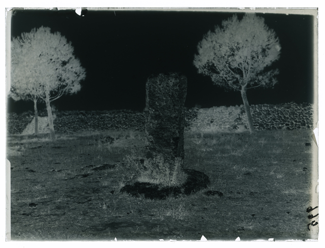 Muro Leccese - Menhir del Crocefisso (negativo) di Palumbo, Giuseppe (XX)