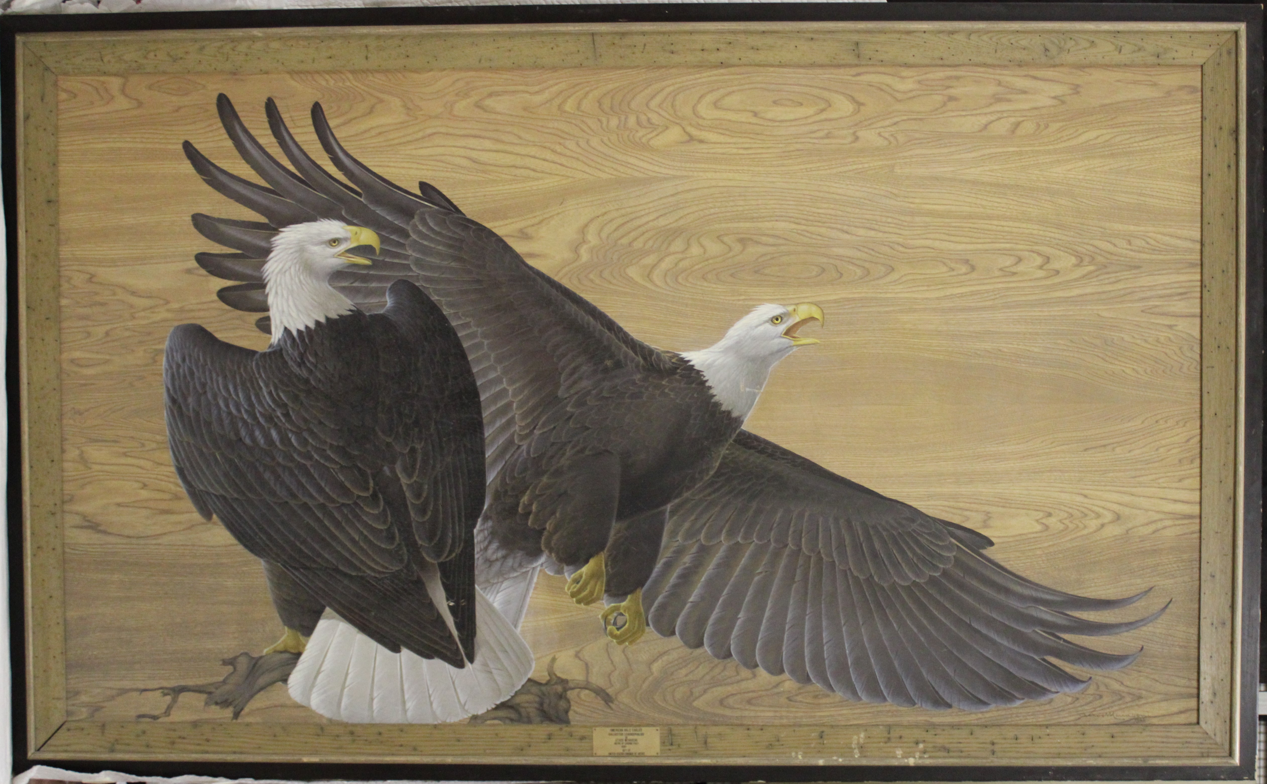 American Bald Eagles, aquile (dipinto) di Menaboni Athos (prima metà XX)