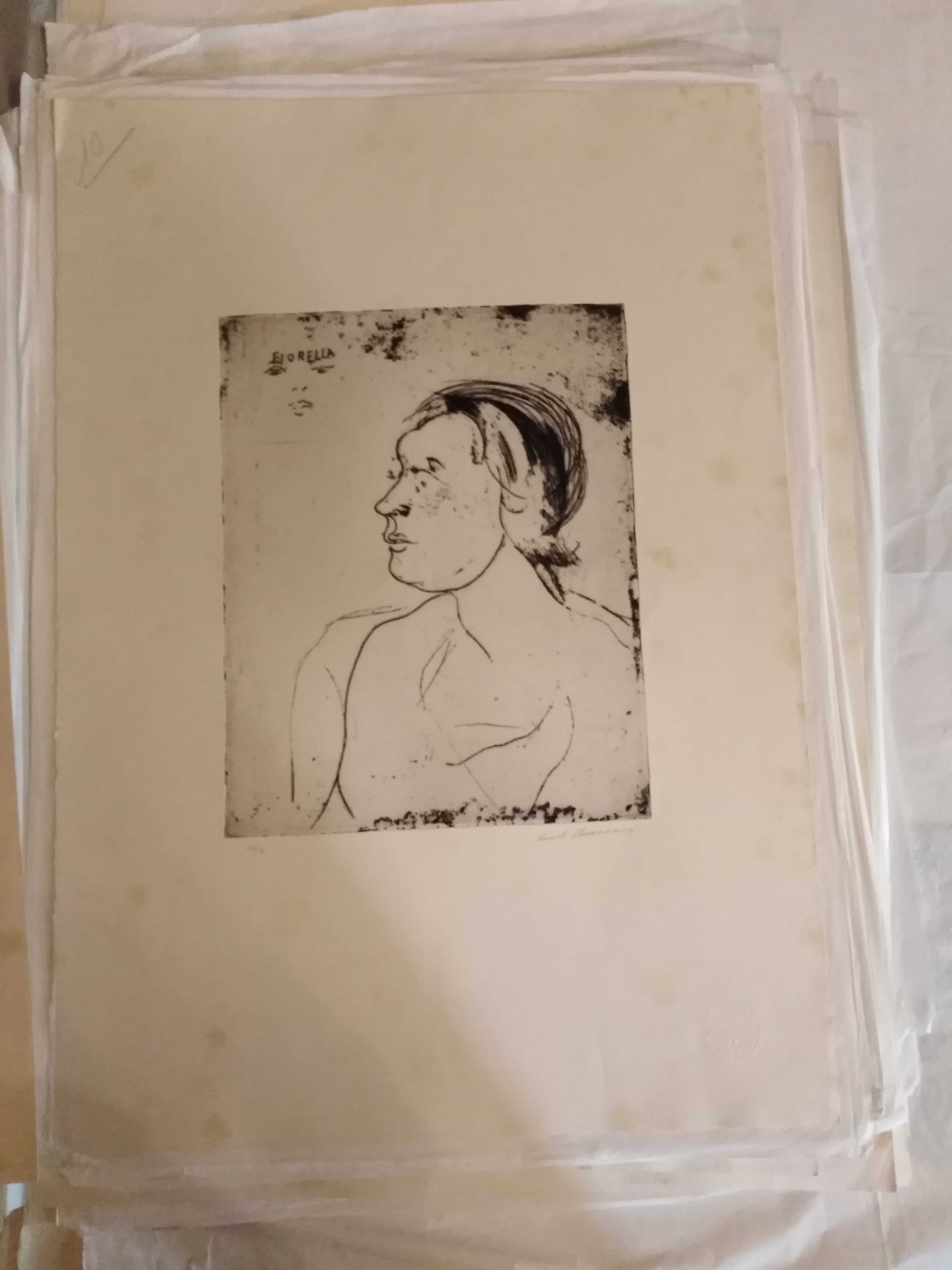 Fiorella, ritratto di donna (stampa) di Treccani Ernesto (XX)