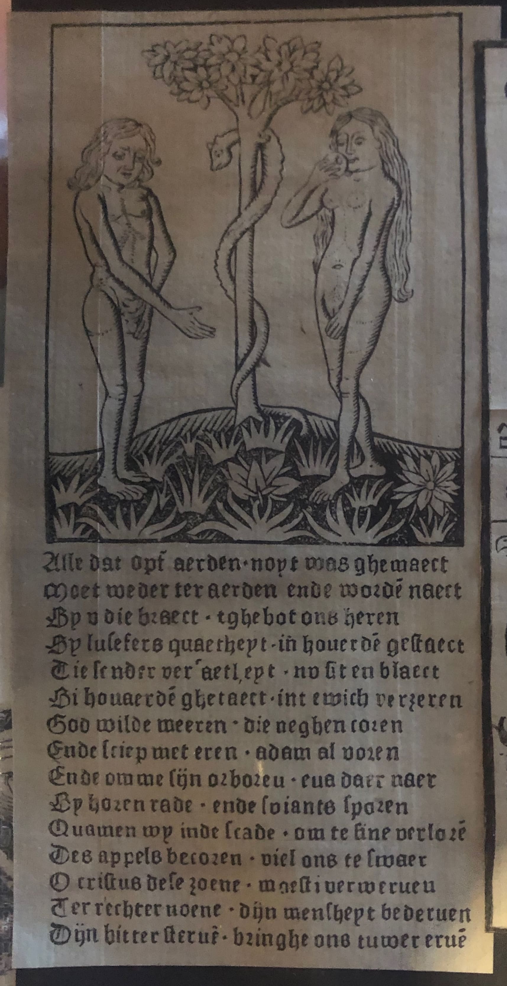 Adamo ed Eva, Adamo ed Eva (stampa smarginata) - ambito tedesco (sec. XVI)