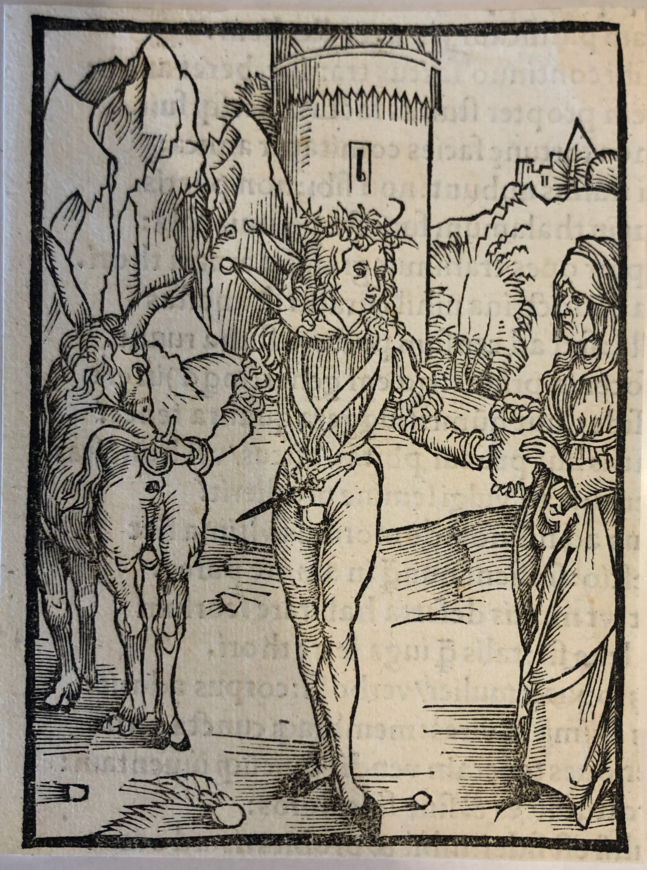 Folle alla ricerca di una donna (stampa) di Dürer Albrecht - ambito tedesco (sec. XV)