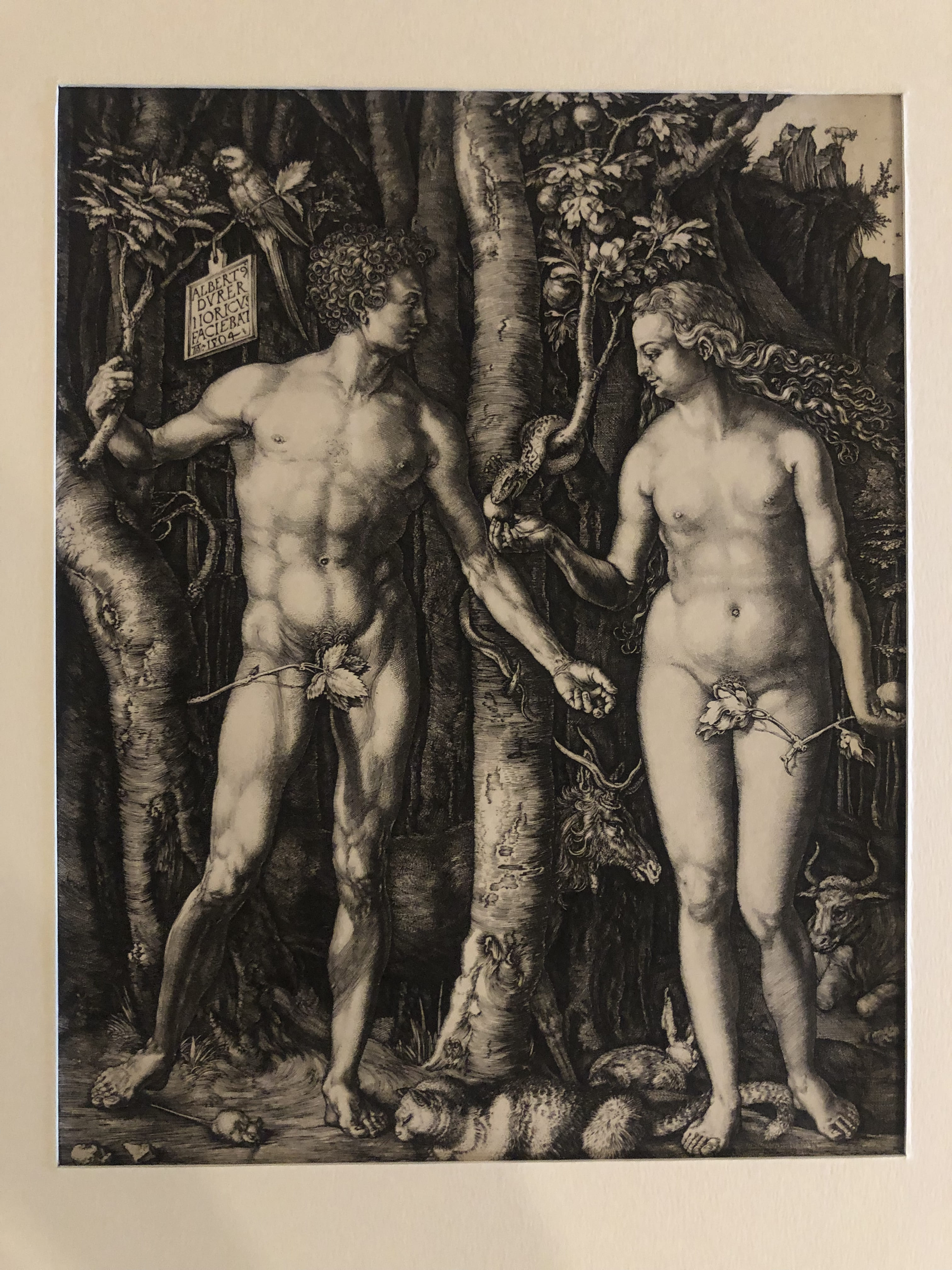 Adamo ed Eva, Adamo ed Eva (stampa) di Dürer Albrecht - ambito tedesco (sec. XVI)