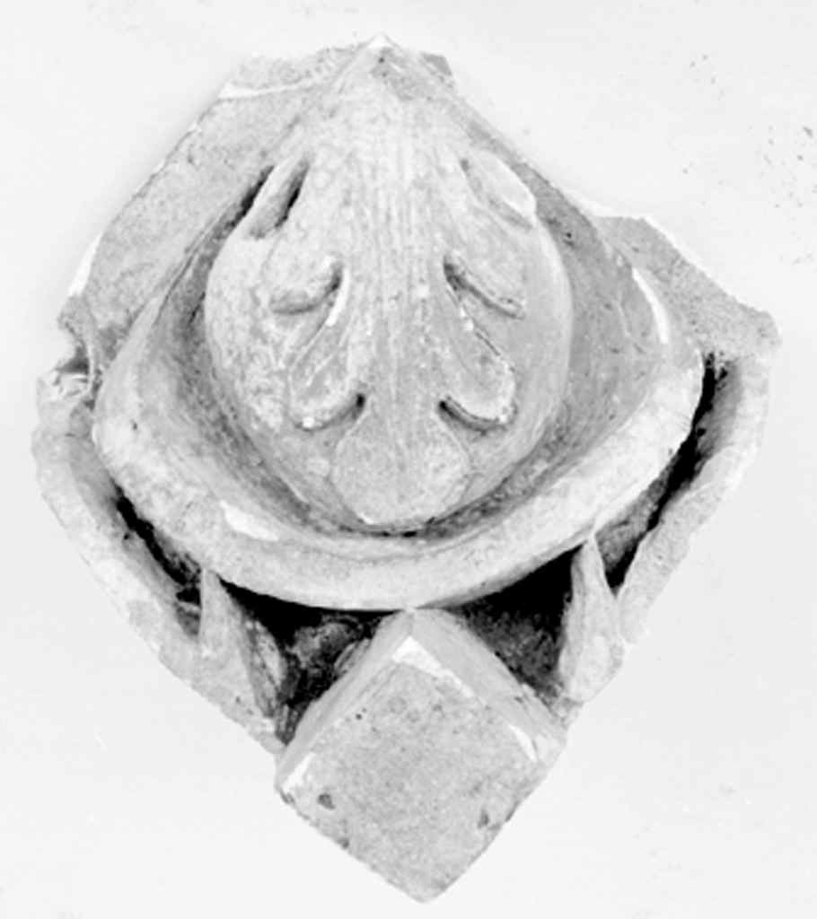 motivo decorativo (rilievo, frammento) - ambito fiorentino (secc. XIX/ XX)