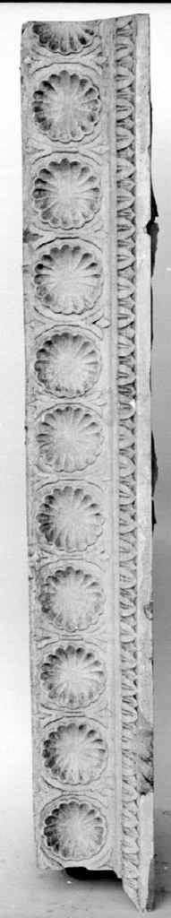 motivo decorativo a valve di conchiglia (cornice architettonica, serie) - ambito fiorentino (secc. XIX/ XX)