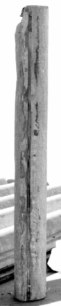pilastrino, frammento - produzione fiorentina (sec. XIV)