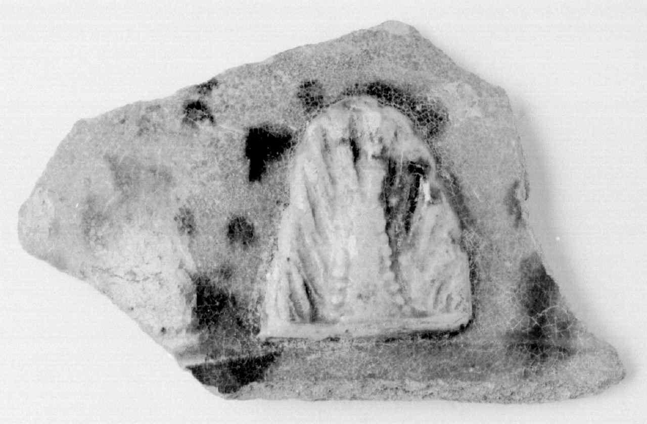 bacile, frammento - manifattura toscana (sec. XVII)