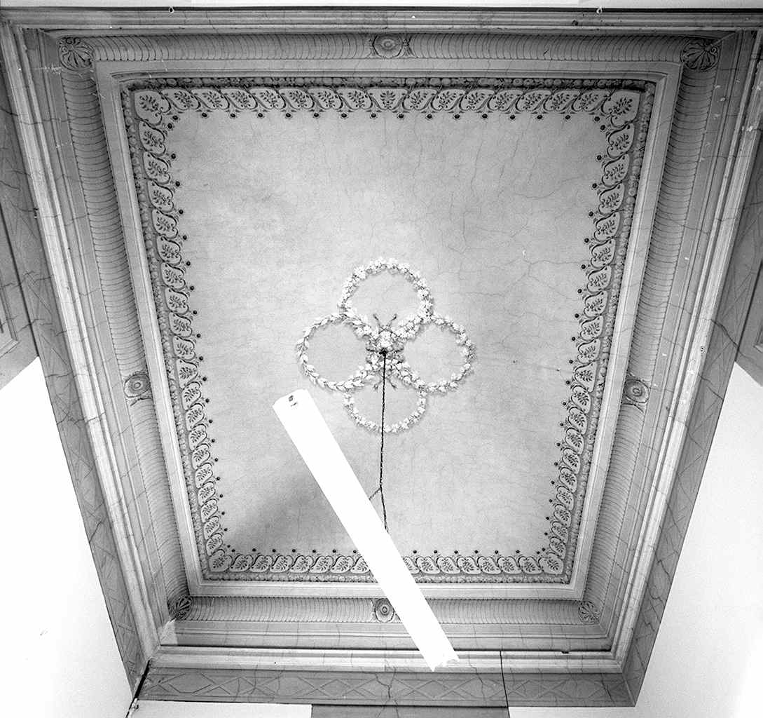 motivi decorativi vegetali (soffitto dipinto) - ambito fiorentino (prima metà sec. XIX)