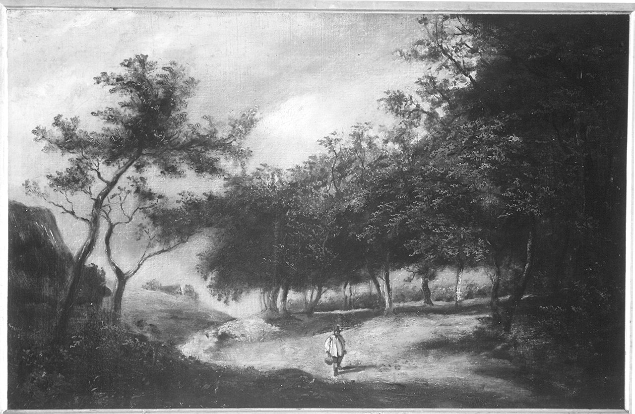 paesaggio (dipinto) - ambito francese (sec. XIX)