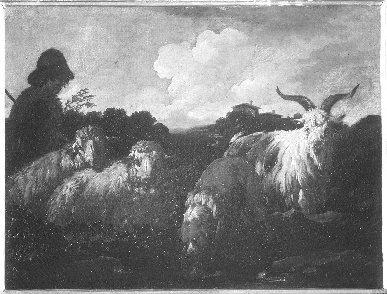 pastore con gregge (dipinto) - ambito olandese (?) (secc. XVII/ XVIII)