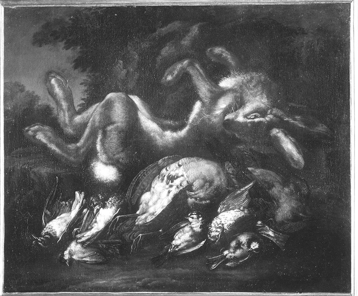 natura morta con cacciagione (dipinto) di Bimbi Bartolomeo (cerchia) (secc. XVII/ XVIII)