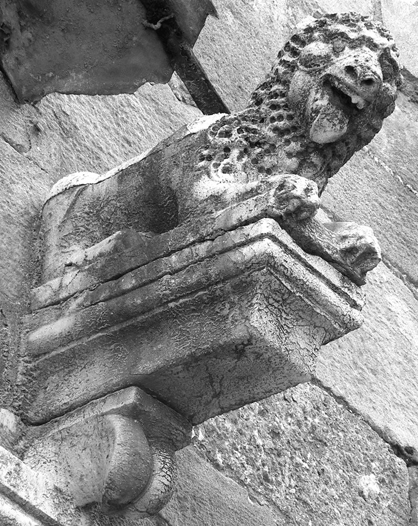leone (scultura) - bottega lucchese (fine sec. XIII)