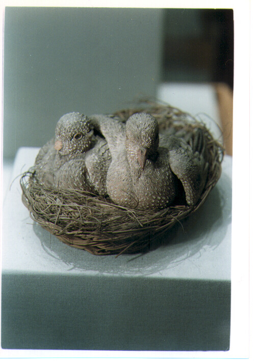 piccione (scultura miniaturistica, coppia) di Gallo Francesco (secc. XVIII/ XIX)