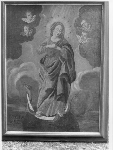 MADONNA IMMACOLATA (dipinto) - ambito lunigianese (fine/inizio secc. XVIII/ XIX)