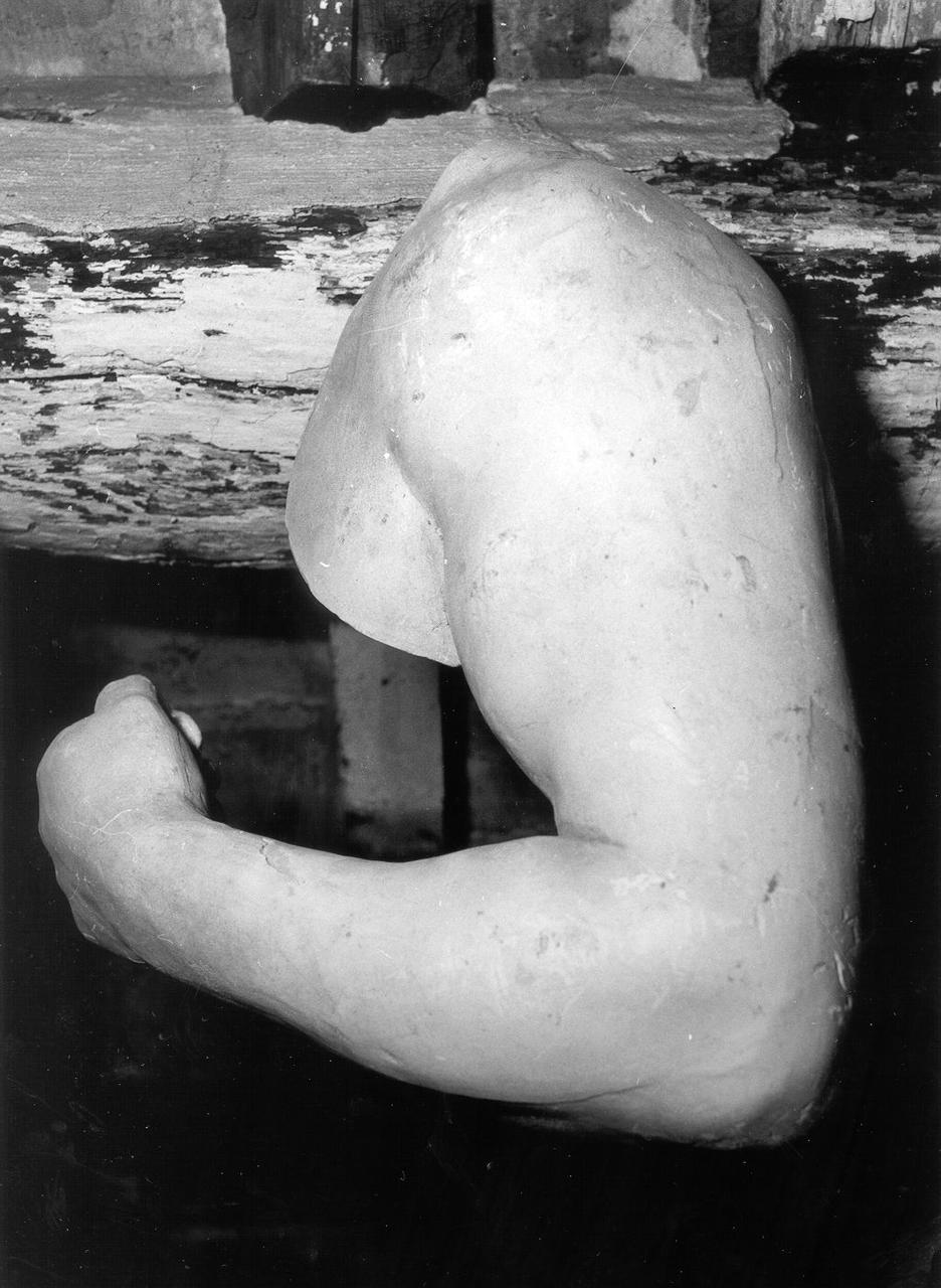 braccio maschile sinistro (scultura) - bottega italiana (prima metà sec. XX)