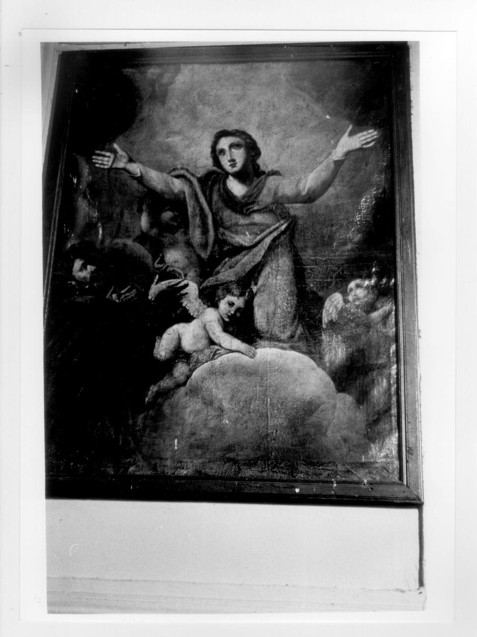 MADONNA IN GLORIA CON SAN PIETRO (dipinto) - ambito lunigianese (fine/inizio secc. XVII/ XVIII)