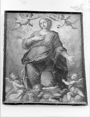 MADONNA IN GLORIA (dipinto) - ambito italiano (sec. XVII)