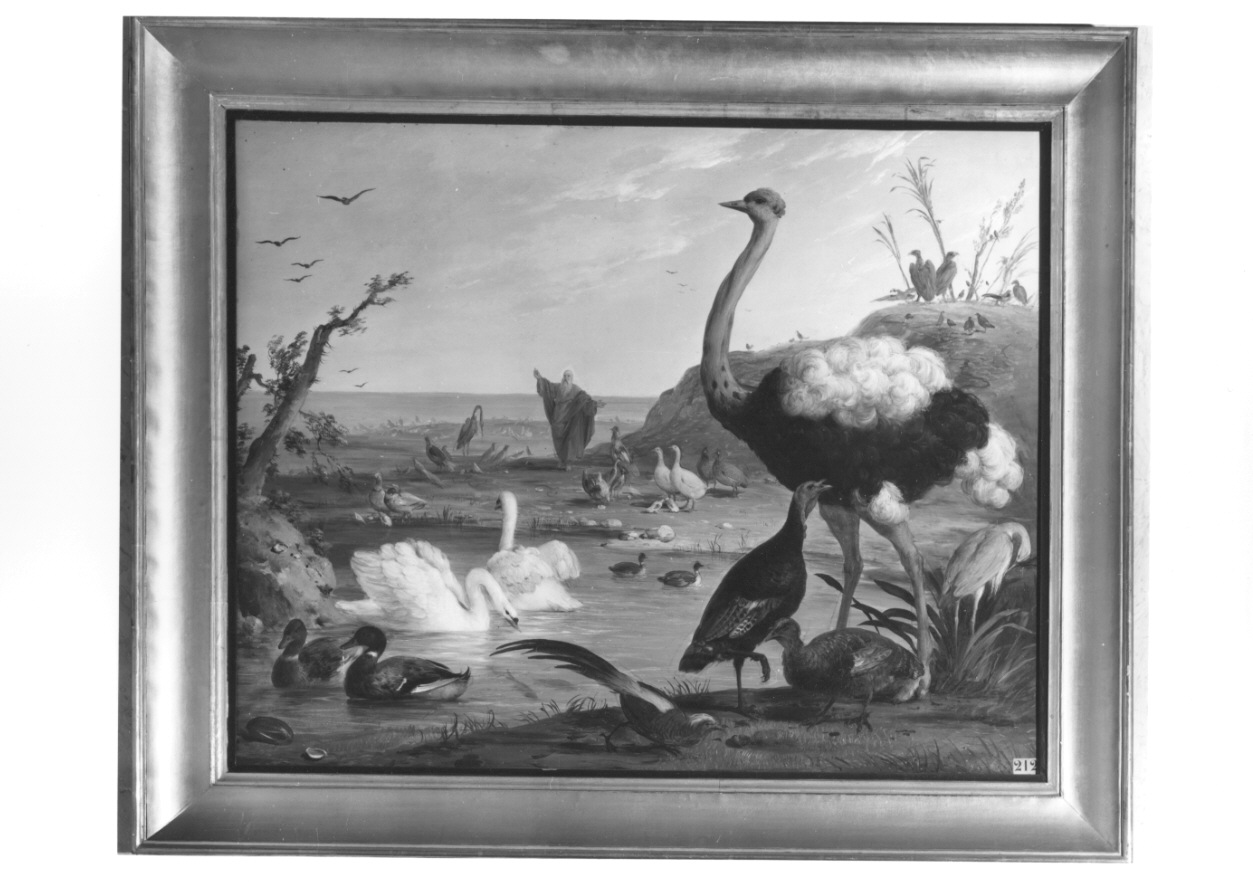 creazione dei pesci e degli uccelli (dipinto, opera isolata) di Inganni Francesco (metà sec. XIX)