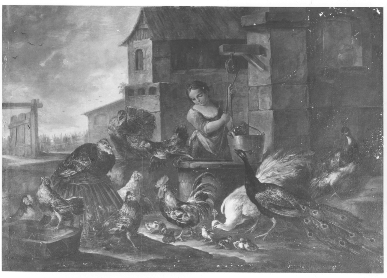 contadina al pozzo e animali (dipinto, opera isolata) di Crivelli Giovanni detto Crivellino (secondo quarto sec. XVIII)